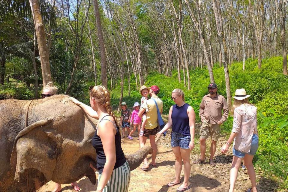 Krabi: Elephant Care House Guided Tour with Hotel Transfers - Getting There: Hotel Transfers From Ao Nang, Krabi Town, Railay, and More