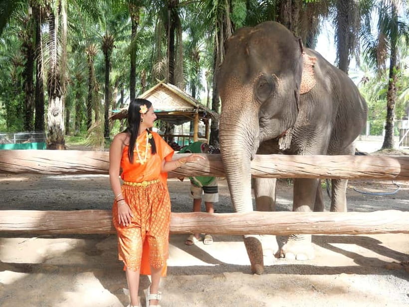 Krabi: Elephant Feeding Program with Traditional Thai Dress - Thai dress and elephant feeding: a very specific kind of Krabi experience