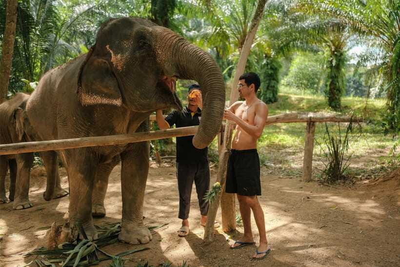 Krabi: Elephant Sanctuary (near Ao Nang) Visit - Practical tips before you arrive