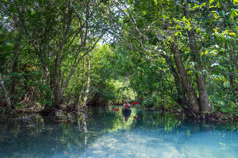 Krabi: Half-Day Blue Lagoon Kayaking at Klong Srakaew & ATV - Guides make or break this kind of day (and this tour clearly leans hard on that)