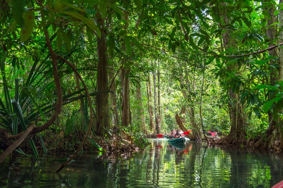 Krabi: Half-Day Blue Lagoon Kayaking at Klong Srakaew & ATV - Lunch, fruits, and the small comforts that keep the day smooth