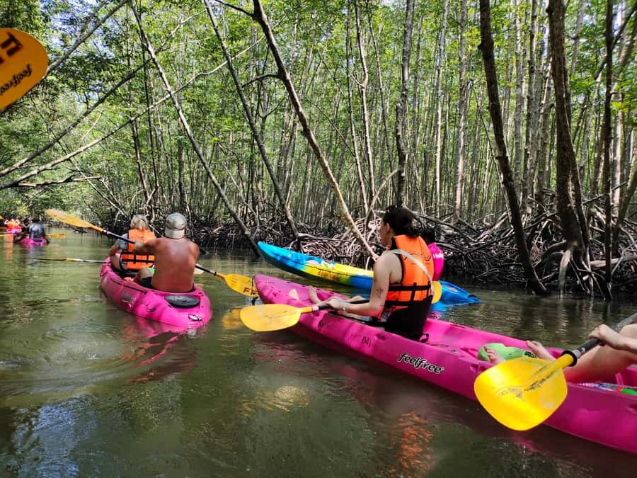Krabi: Half-Day Kayak Adventure at Ao Thalane - Key highlights worth planning for