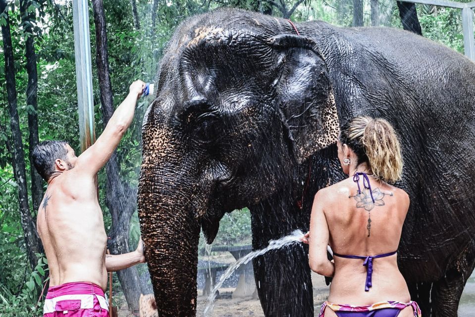 Krabi: Highlights Tour with Krabi Elephant Shelter - Meet the Elephants Like a Chef: Treats, Feeding, and Close Contact