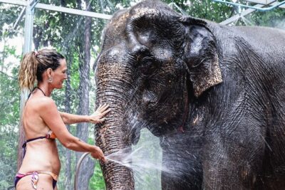 Krabi: Highlights Tour with Krabi Elephant Shelter - The 2-Hour Flow: Feeding, Mud Bath, River Bath, Shower