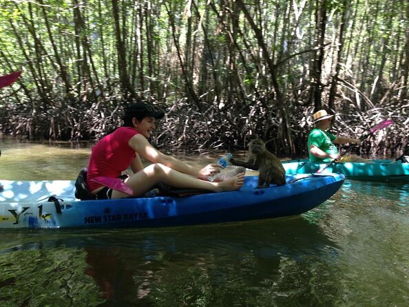 Krabi kayak at Ao Thalane - Key points to know before you go