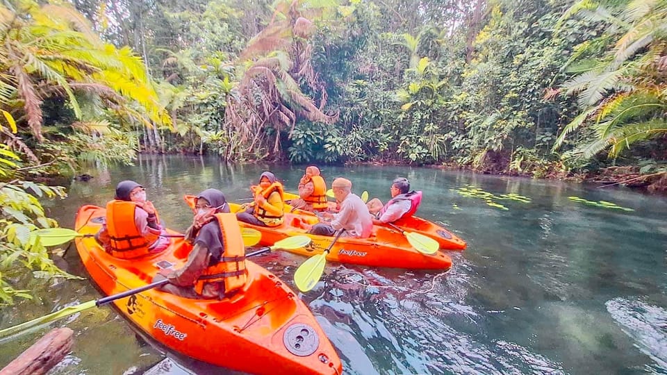 Krabi kayaking and swimming clongrood Tour - Klong Root Canal Tour at a Glance