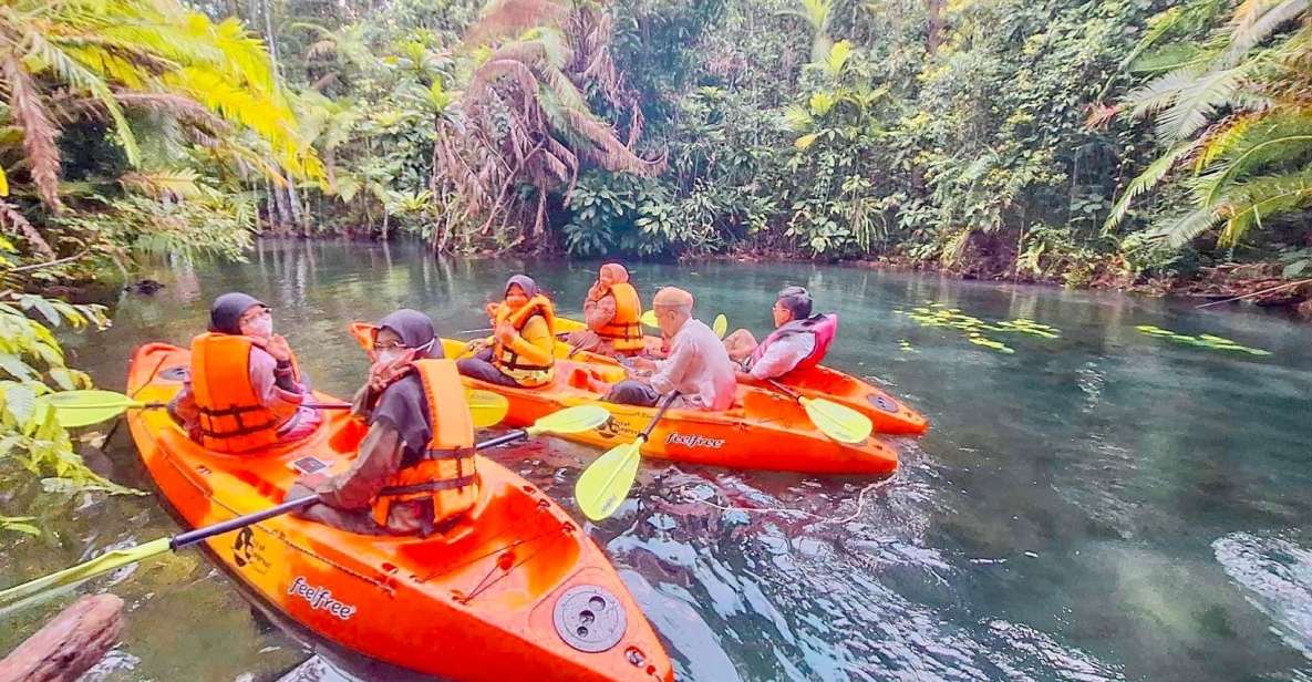 Krabi kayaking and swimming clongrood Tour - Why Klong Root Canal Feels So Different