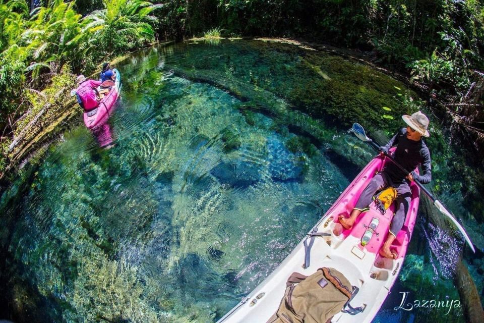 Krabi kayaking and swimming clongrood Tour - Rainforest Time and Wildlife Chances (Birds and Butterflies)