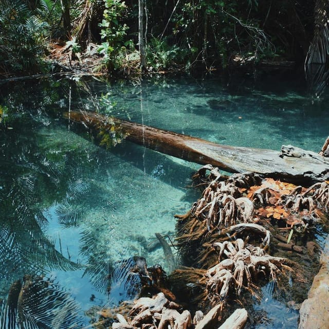 Krabi kayaking and swimming clongrood Tour - Pickup, Tuk-Tuk Transfer, and Getting There Smoothly