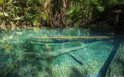 Krabi: Khlong Nam Sai Lagoon with Kayaking & Optional ATV - Getting There from Ao Nang: Timing That Keeps You Moving