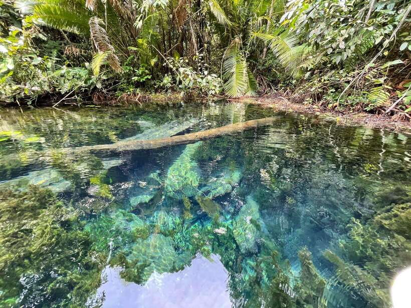 Krabi: Klong Root (Crystal lake) Kayaking tour - Key highlights worth circling