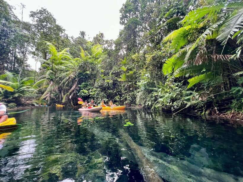Krabi: Klong Root (Crystal lake) Kayaking tour - Klong Root crystal-lake kayaking: what the water is really like