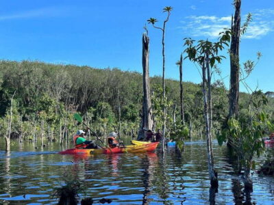 Krabi: Klong Root (Crystal lake) Kayaking tour - Kayaks and life jackets: easy enough for families, not for everyone