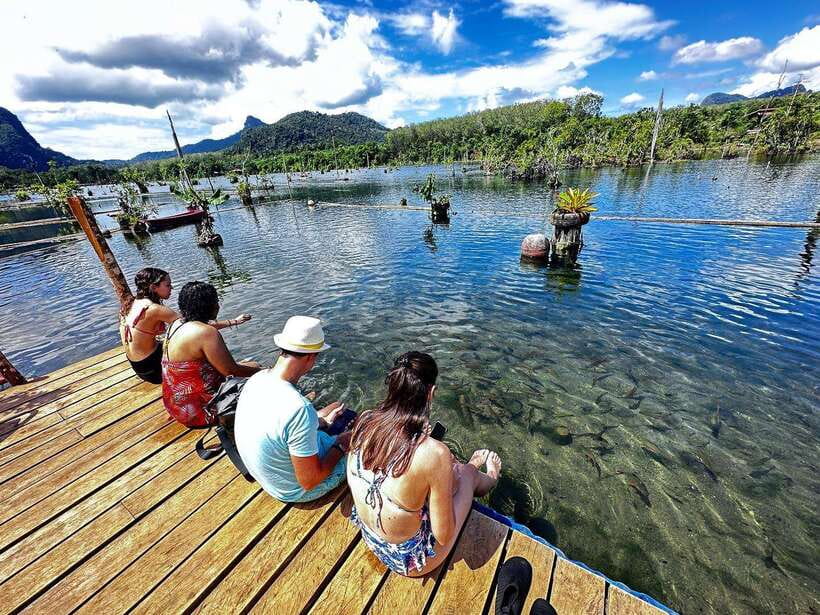 Krabi: Klong Root (Crystal lake) Kayaking tour - Price and value: why $27 can make sense here