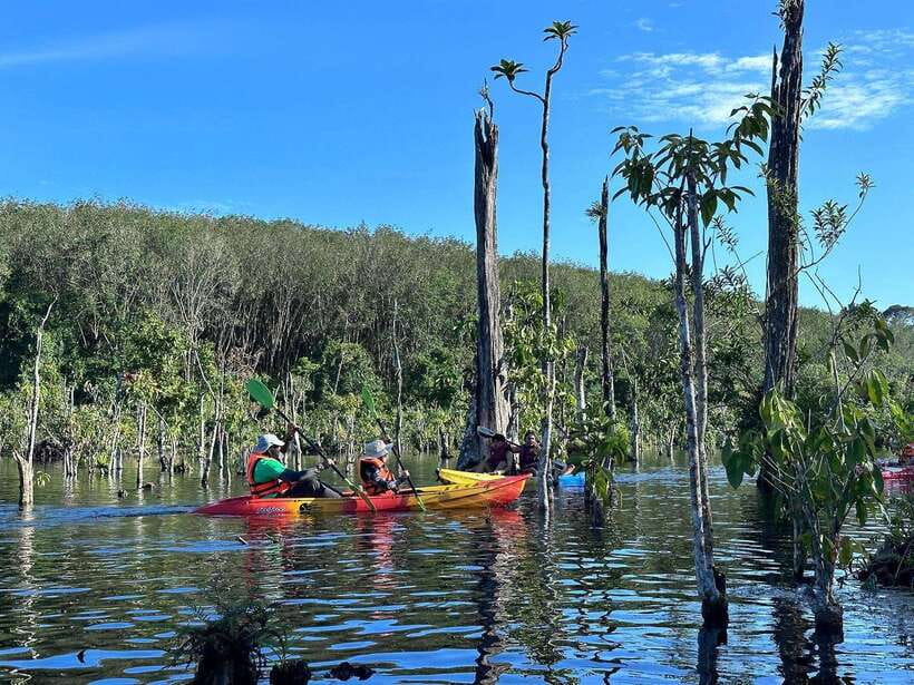 Krabi: Klong Root (Crystal lake) Kayaking tour - Kayaks and life jackets: easy enough for families, not for everyone