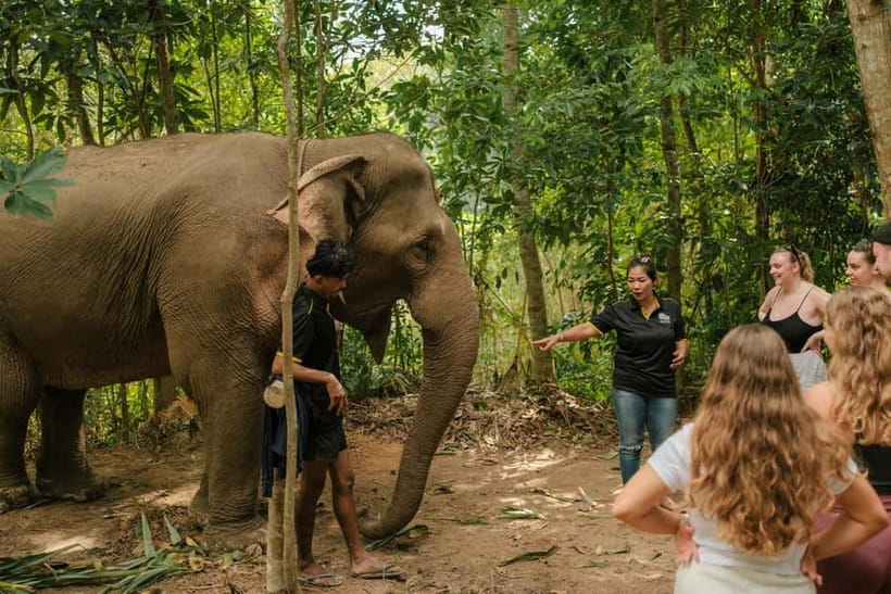 Krabi: Love Elephant Sanctuary Tour - Key points before you book