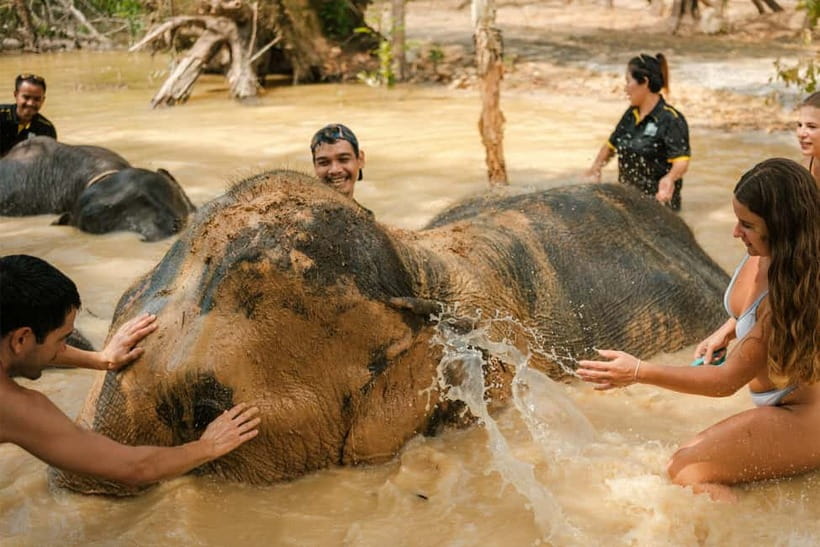 Krabi: Love Elephant Sanctuary Tour - Why this 2-hour elephant sanctuary visit works in Krabi