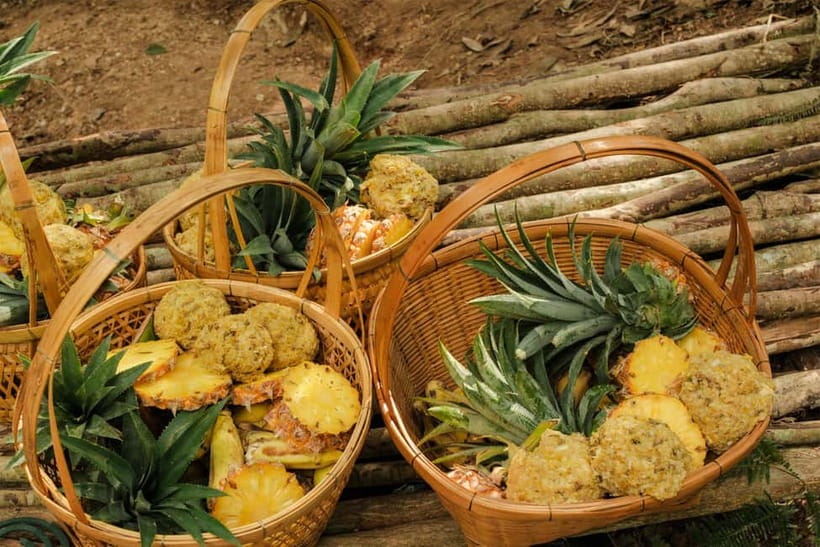 Krabi: Love Elephant Sanctuary Tour - Herbal medicine making: the careful part of the day