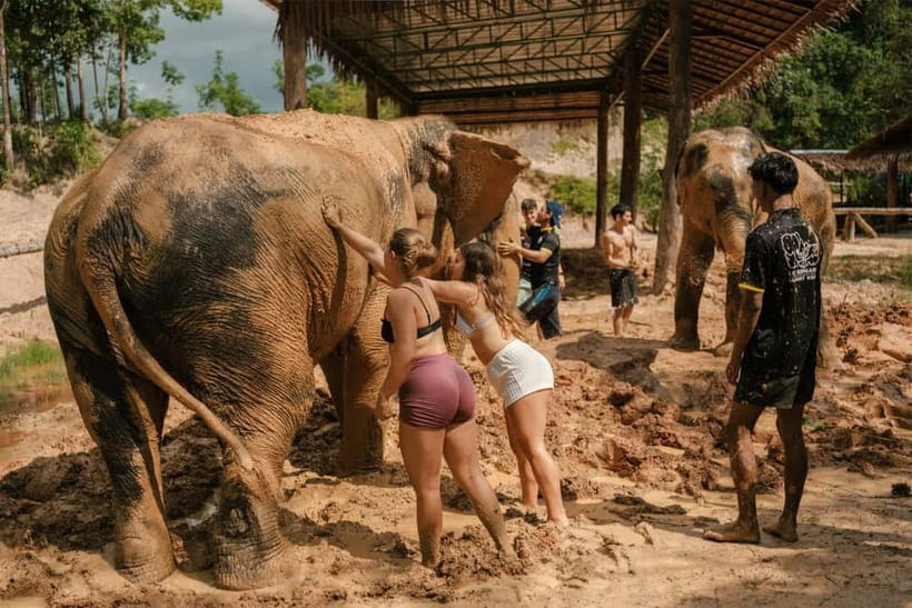 Krabi: Love Elephant Sanctuary Tour - Price and value: is $51 fair for what you get?