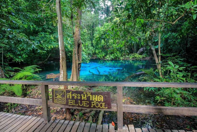 Krabi Outback Explorer to Emerald Pool & Wareerak Hotspring - Lunch in Khlong Thom Nuea: good fuel, mixed reviews