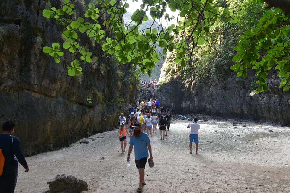 Krabi: Phi Phi Islands & Maya Bay Speedboat Tour with Lunch - Bamboo Island: your beach time and a spot for real wildlife moments