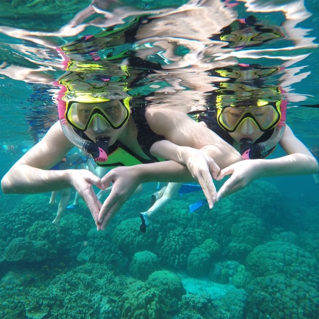 Krabi: Phi Phi Islands Speedboat Tour with Buffet Lunch - Viking Cave: Swiftlet Nests and a Snapshot of Local Traditions