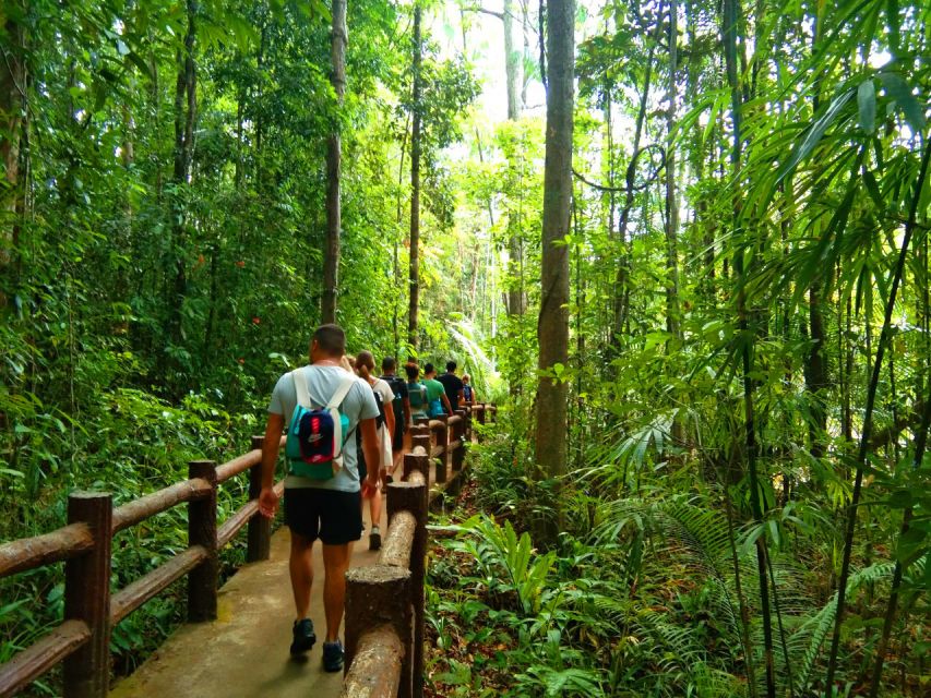 Krabi: Tiger Temple, Hot Springs & Crystal Pool Jungle Tour - Key highlights worth caring about