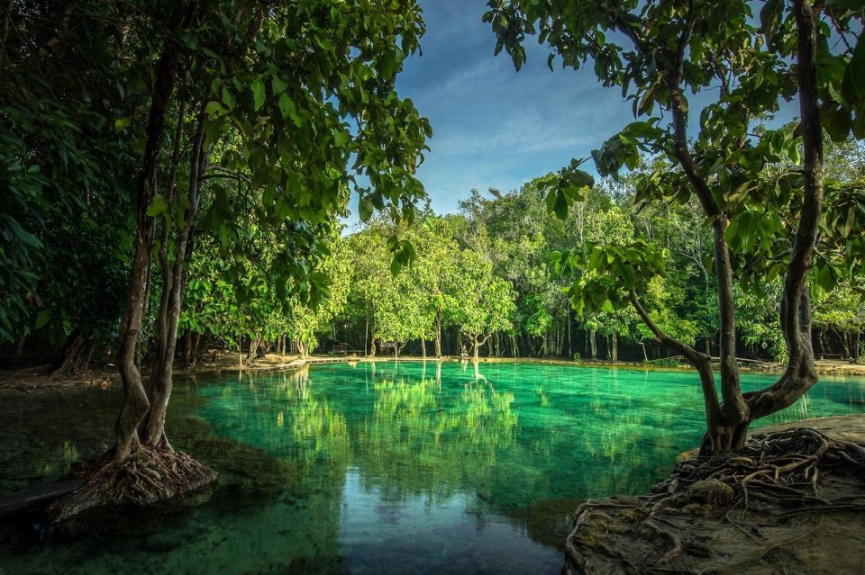 Krabi: Tiger Temple, Hot Springs & Crystal Pool Jungle Tour - Emerald Pool (Sra Morakot): cooling off in mineral-green water