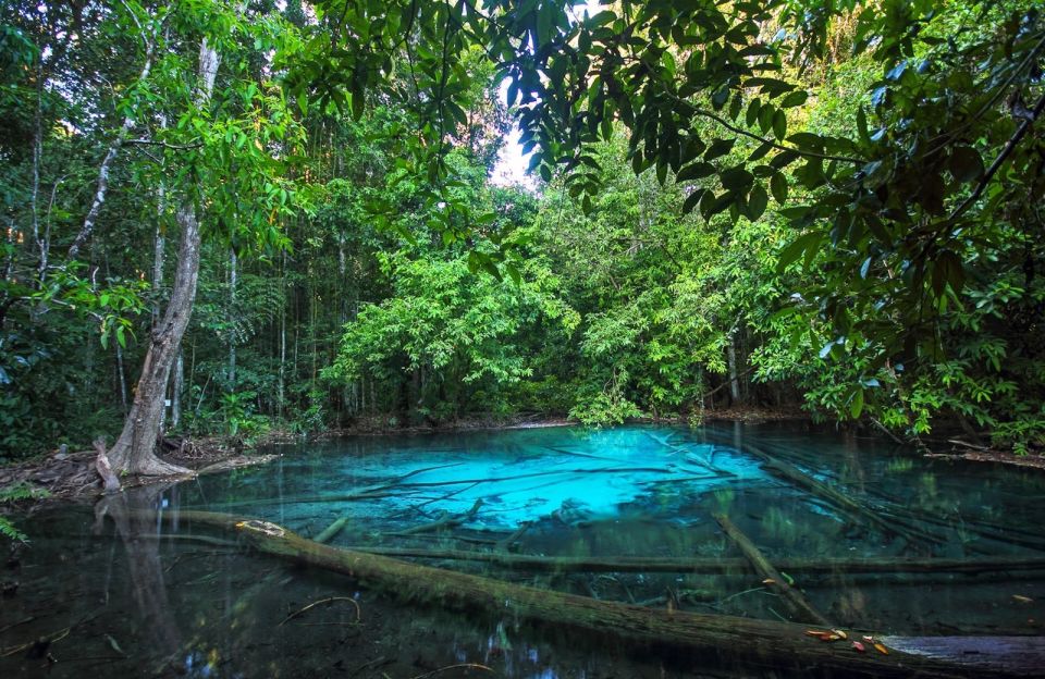 Krabi: Tiger Temple, Hot Springs & Crystal Pool Jungle Tour - Price and value: $56 plus entrance fees you should budget
