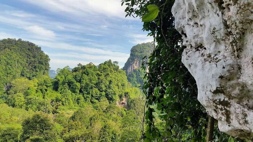 Krabi: Ziplining with Abseiling and Rock Climbing Options - Photos, water, and fruit: the small comforts you’ll actually notice