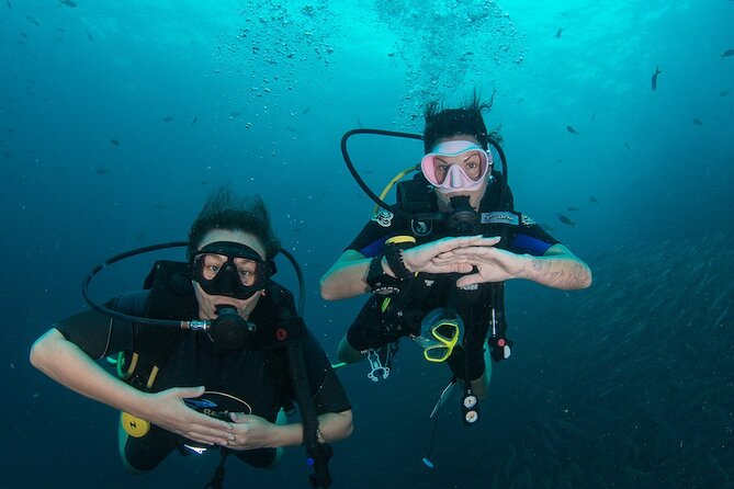 La Bombona Diving Koh Tao Open Water Course - Key things you’ll love about La Bombona’s PADI Open Water setup