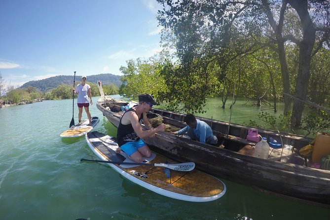 Mangroves SUP Tour Phuket - Entering the Mangroves: Phuket’s Quiet Start
