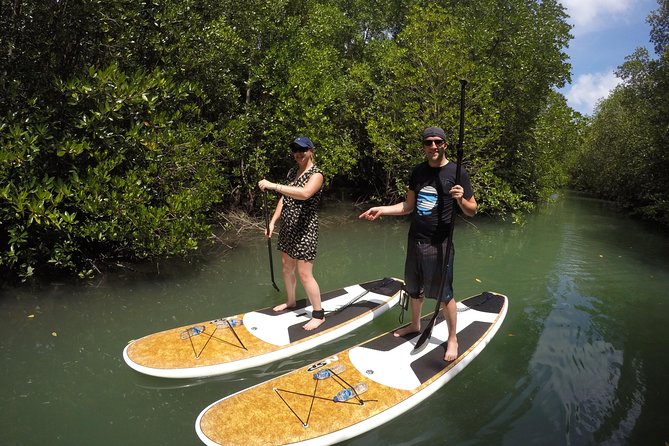 Mangroves SUP Tour Phuket - Pickup, Private Tour, and Why the Half-Day Format Fits
