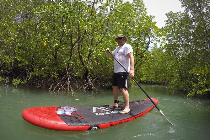 Mangroves SUP Tour Phuket - Price and Value: Is $55.45 Worth It?