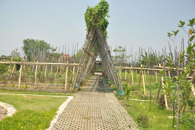 Morning Cooking Class in Organic Farm with Local Market Tour - Practical Tips Before You Go