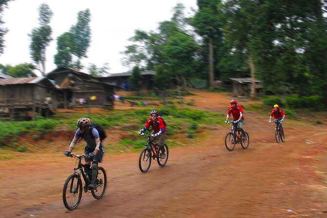 No.1 Chiang Mai: Epic Doi Suthep Downhill MTB Adventure - Price and What You’ll Actually Pay in Real Life