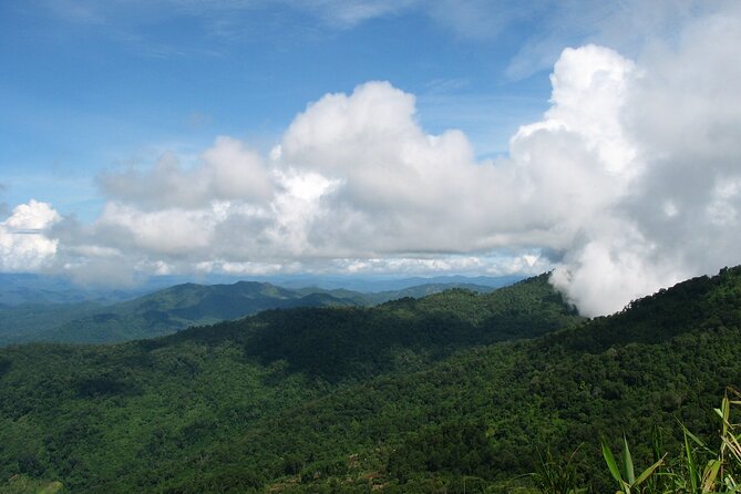 No.1 Chiang Mai: Epic Doi Suthep Downhill MTB Adventure - The 45-Minute Drive to Doi Suthep-Pui National Park and Your First Setup