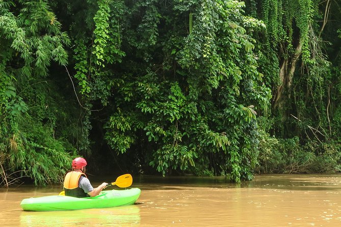 No.1 Full-Day Chiang Mai Caving & Jungle Kayaking: Chiang Dao - Mae Ping River kayaking: bamboo jungle scenery plus real coaching
