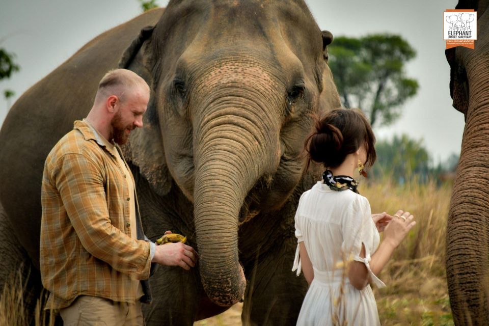 Pattaya: Elephant Jungle Sanctuary Feeding Experience - Key things that make this elephant feeding feel worth it