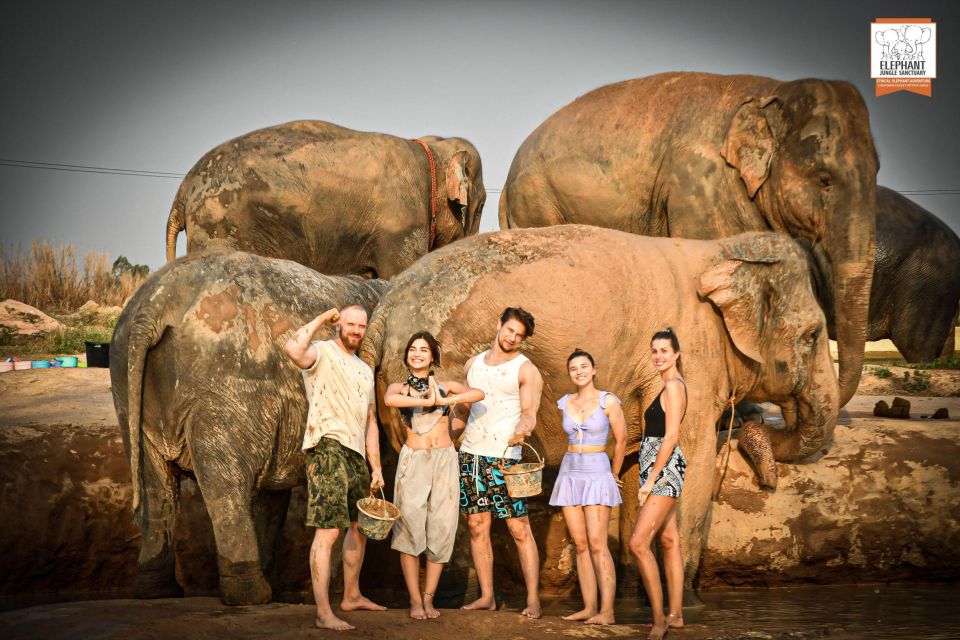 Pattaya: Elephant Jungle Sanctuary Feeding Experience - Check-In to Feeding: What the Flow Feels Like