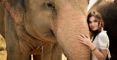 Pattaya: Elephant Jungle Sanctuary Feeding Experience - Picking a Time Slot and Planning Your Own Arrival