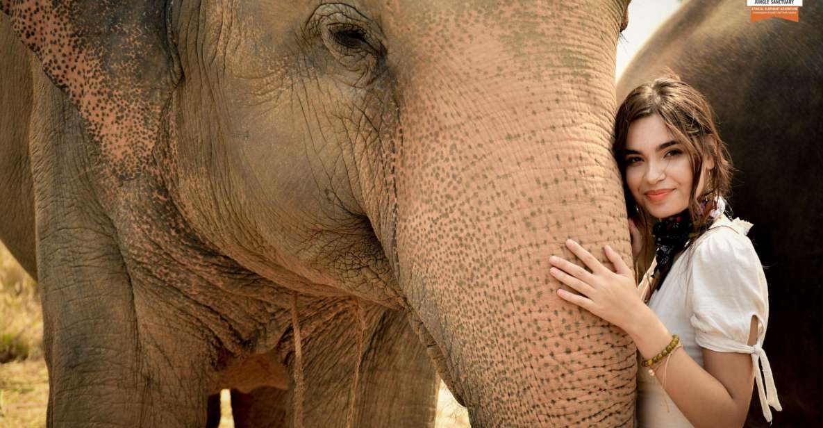 Pattaya: Elephant Jungle Sanctuary Feeding Experience - Picking a Time Slot and Planning Your Own Arrival