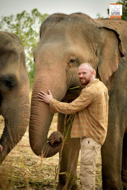 Pattaya: Elephant Jungle Sanctuary Half-Day Tour with Meal - Practical Booking Checklist for Your Pattaya Day