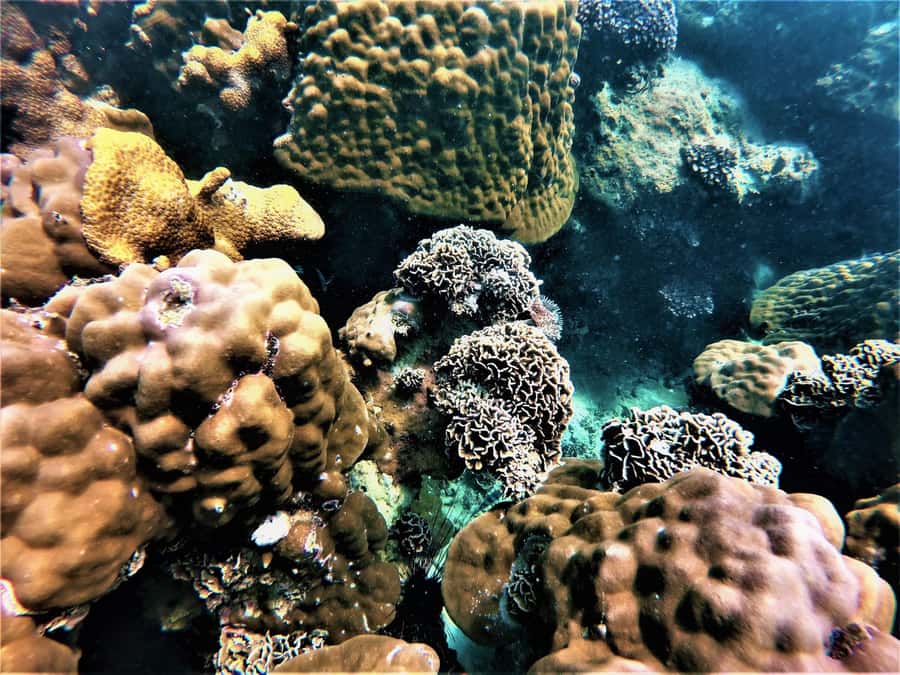Pattaya: Full-Day 2 Islands Yacht Trip with Lunch and Sunset - Koh Phai: Marine Park Snorkeling and a Long Water Block
