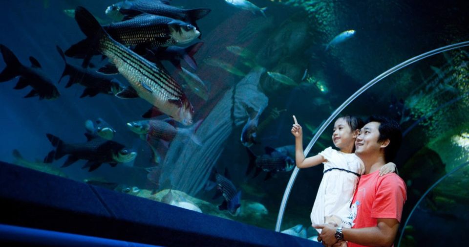 Pattaya: Underwater World Pattaya Aquarium Admission Ticket - Key takeaways before you go