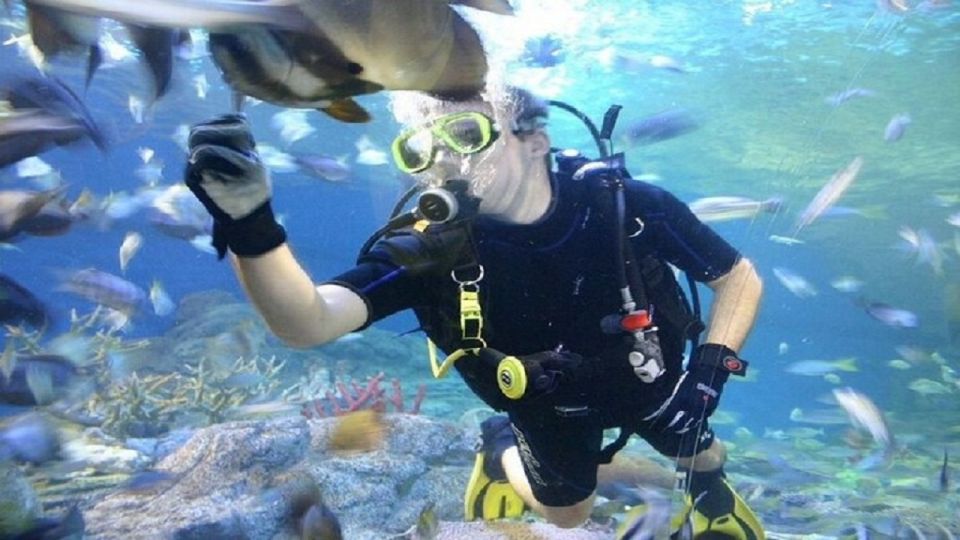 Pattaya: Underwater World Pattaya Aquarium Admission Ticket - Who should book Underwater World Pattaya?