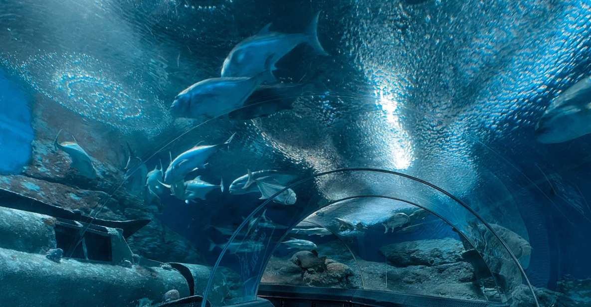 Pattaya: Underwater World Pattaya Aquarium Admission Ticket - Underwater World Pattaya: a clear-tunnel aquarium day in Chonburi