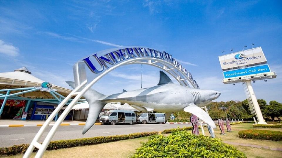 Pattaya: Underwater World Pattaya Aquarium Admission Ticket - Touch Pool Zone: hands-on learning in a controlled setting