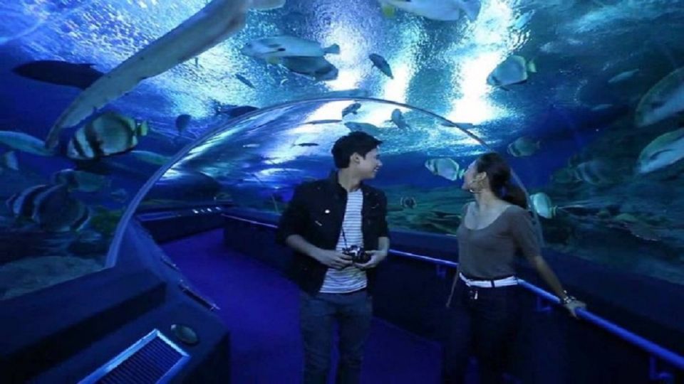 Pattaya: Underwater World Pattaya Aquarium Admission Ticket - Price and value: is an $8 ticket a smart use of time?