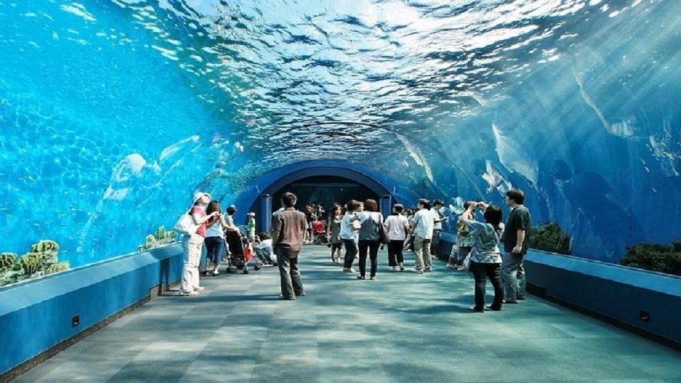 Pattaya: Underwater World Pattaya Aquarium Admission Ticket - Hours, last admission, and timing your visit in Pattaya